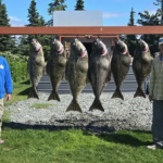 nushagak