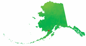 silver salmon alaska